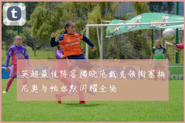 英超最佳阵容揭晓范戴克领衔塞梅尼奥与帕尔默闪耀全场