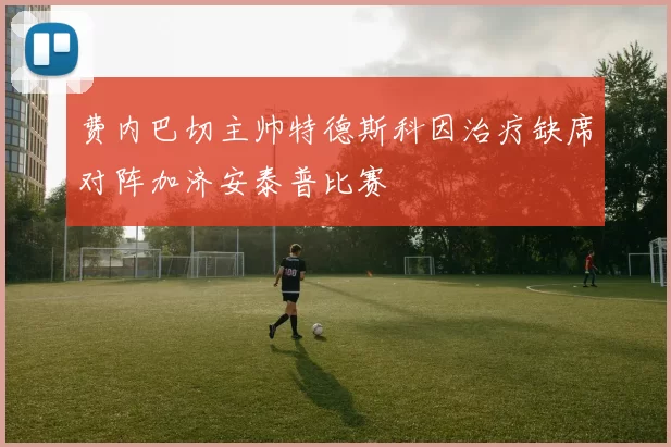 费内巴切主帅特德斯科因治疗缺席对阵加济安泰普比赛